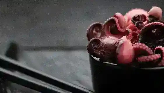 Gif que muestra un pulpo en un cubo recién pescado y un oleaje sobre rocas